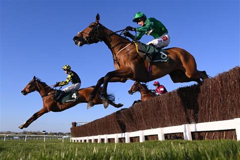 az nudes cheltenham festival results